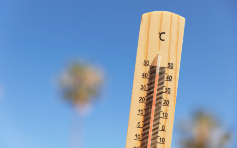 Usb annuncia una settimana di sciopero al porto per il caldo estremo