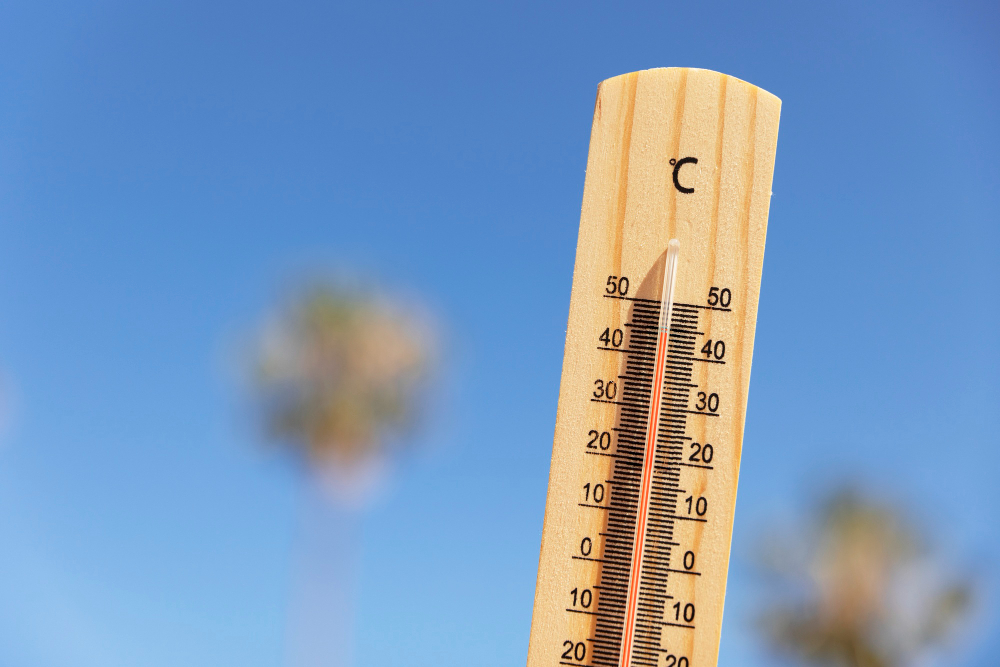 Usb annuncia una settimana di sciopero al porto per il caldo estremo