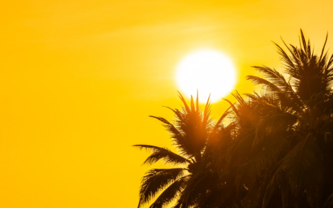 Situazione critica per il caldo a Villa Serena
