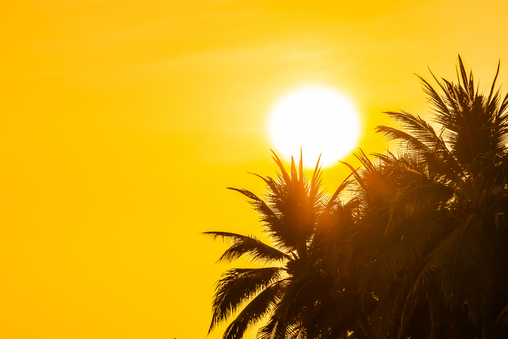 Situazione critica per il caldo a Villa Serena