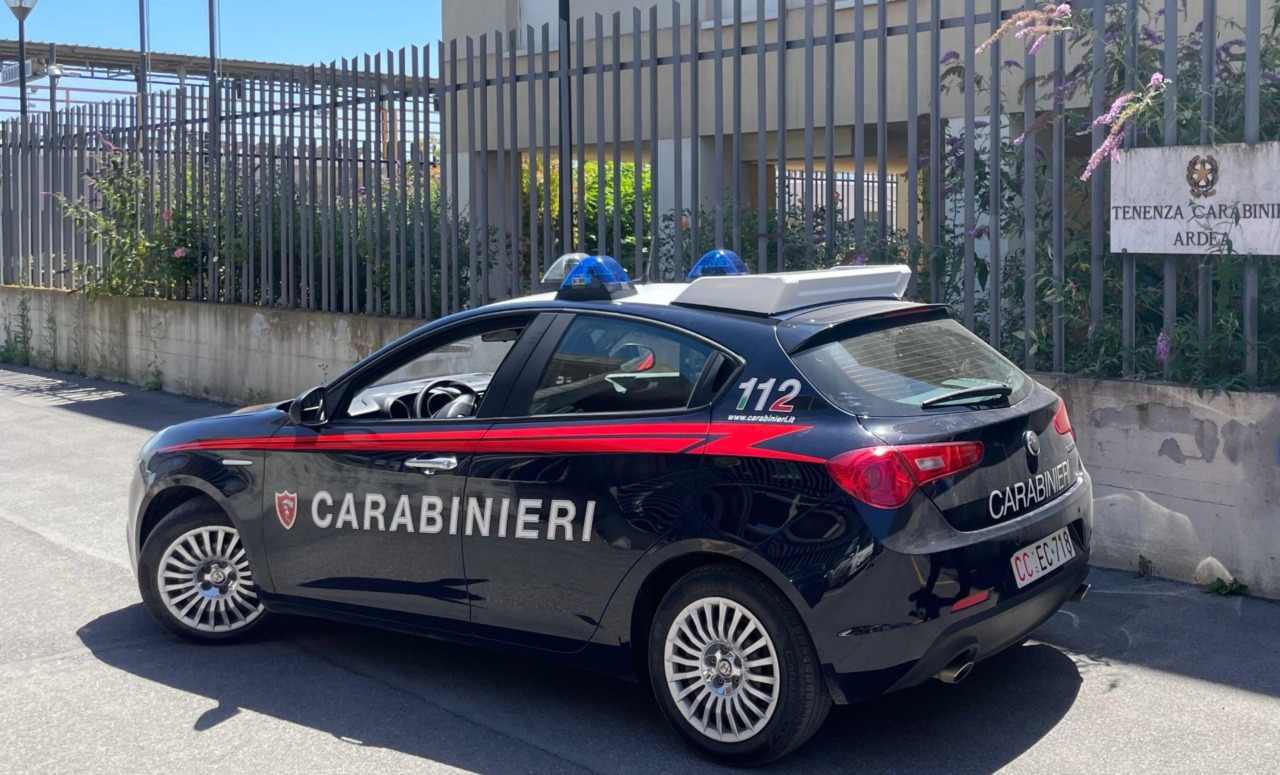Due denunciati per la cattura illegale di cardellini
