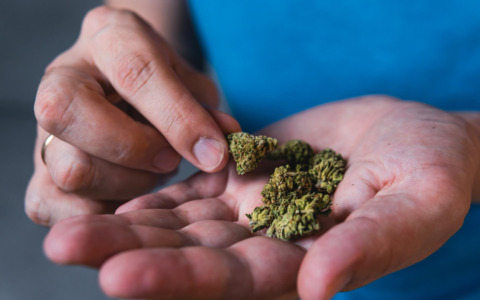 Denunciato un 22enne per spaccio di hashish