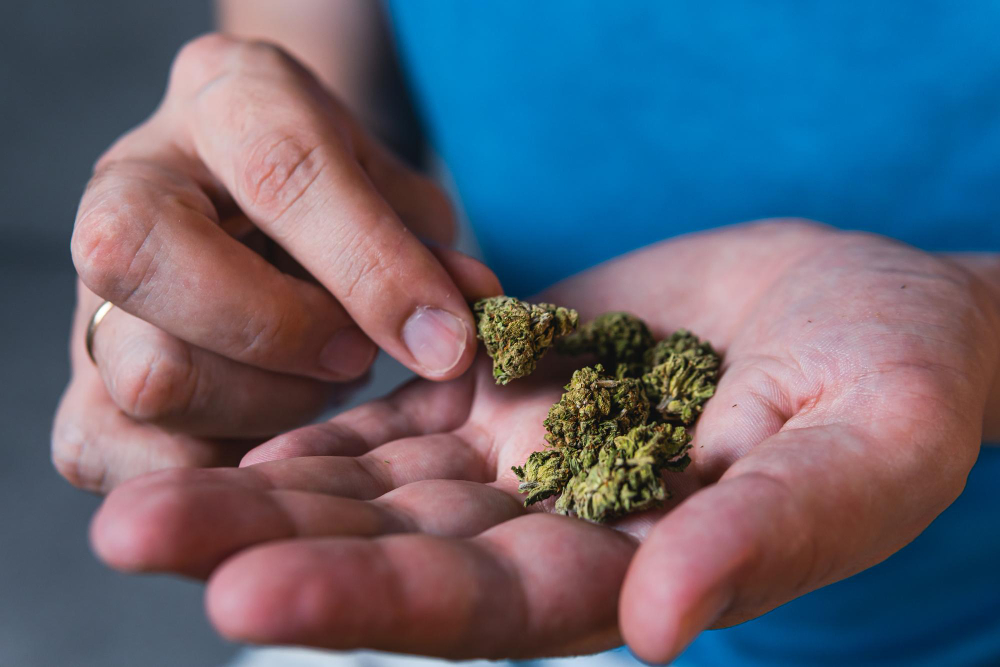 Denunciato un 22enne per spaccio di hashish