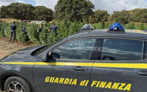Sequestrati verdesca e caviale senza certificazione nel porto