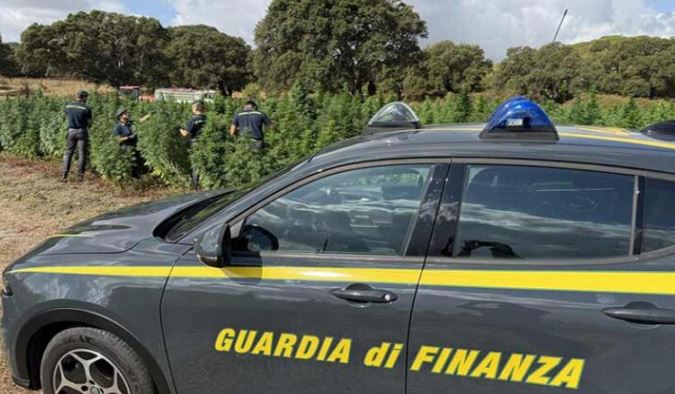 Sequestrati verdesca e caviale senza certificazione nel porto
