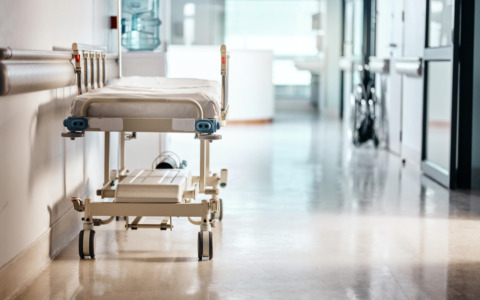 Epatite A, dieci casi tra Pisa e Livorno: verifiche in corso