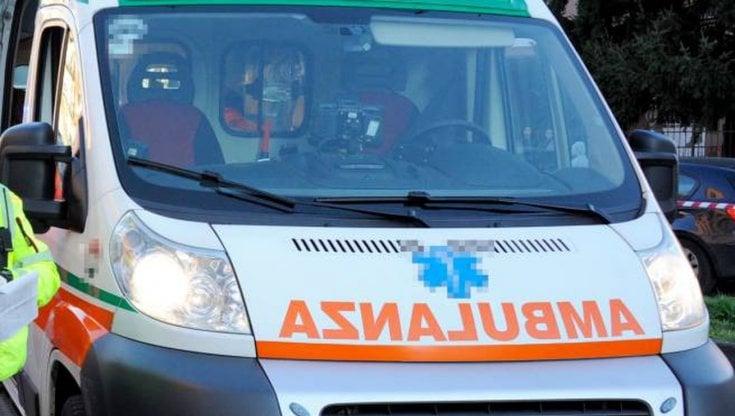 Cade da un albero: 28enne trasportata in codice rosso