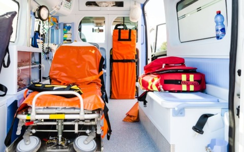 Bimbo di 9 mesi in apprensione per ingestione di foglie di oleandro