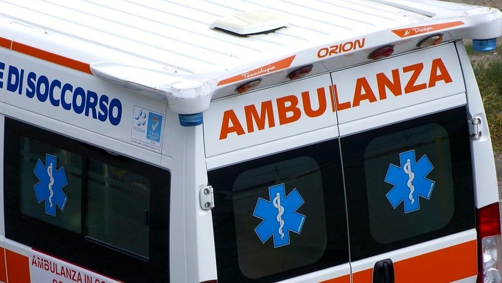 Nate sotto un ombrellone, 94 tartarughine raggiungono il mare